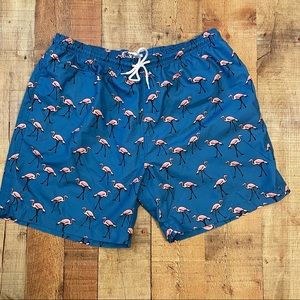 Trunks Surf & Swim  Flamingo Trunks